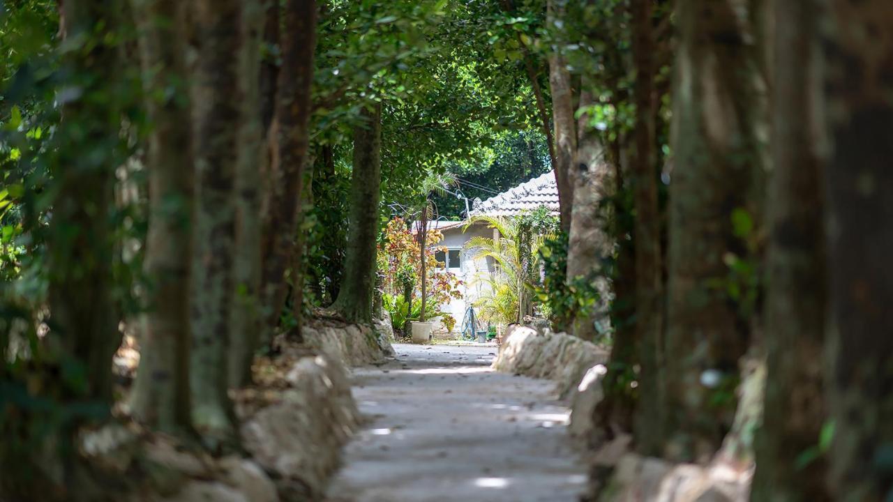 La Ohana～瀬底島～（2022年open） Okinawa Exteriör bild